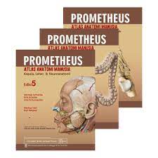 Prometheus Atlas Anatomi Manusia : Organ Dalam, Ed. 5