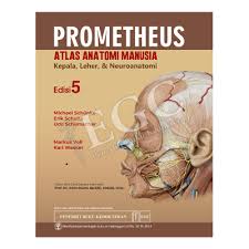 Prometheus Atlas Anatomi Manusia : Kepala, leher, & Neuroanatomi, Ed. 5